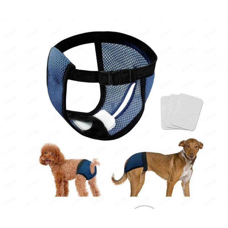 Dog Diaper Black Color