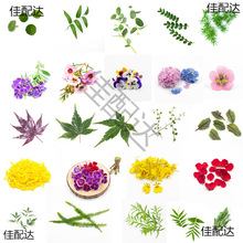 �����b������������rֲ��͏d���r�[�P��P��˾����