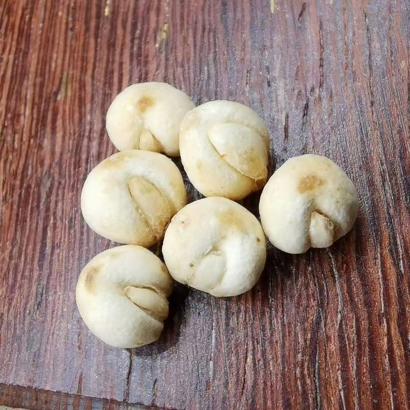 Fritillaria Bulb Bei Mu 贝母 Dried Chinese Herbal Bulbs 50g Bag Traditional Decoction Herb specifications