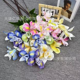 ���^�����z�Sβ���^�����z�Sβ�����Sβ����c��Y�õ�픻�ˇܛ�b