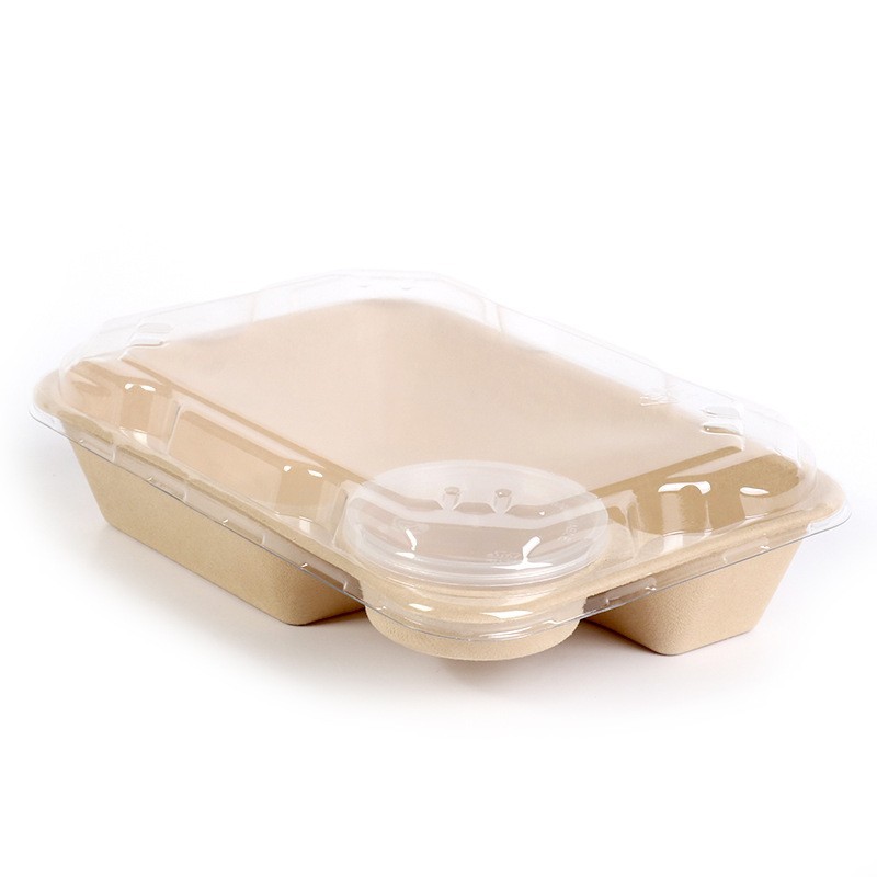 Caja de almuerzo de comida ligera caja de almuerzo para llevar caja de embalaje con salsa taza dumpling caja de fruta caja de ensalada de pulpa desechable