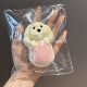New hand-painted small new cover rabbit JC hamburger hand-kneading music food grade silicone decompression toy cream puree