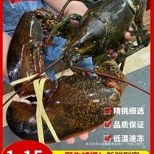 ��ʿ�D���r�r���ش�10���r�����ް���С����������r��˹5��W��