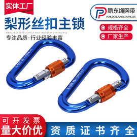XYL/兴意隆梨形主锁 航空铝登山扣户外拓展安全钩 25KN D型安全钩