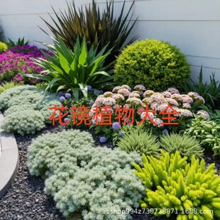 �������ݵر�����ֲ�������^·�S���Ҵ��ݷ�ײ��ͺ��͟Ứ�@ͥԺ