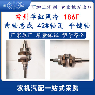 �����L����͙C���186f���S 186f���͙C������S����ƽ�I�S�羳