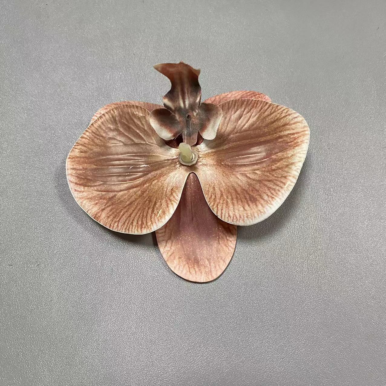 64호