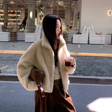 立领韩系100绵羊羔毛皮草外套女短款2025冬季羊剪绒皮毛一体大衣