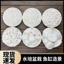 白石子造景石子白色鹅卵石石头南京雨花石鱼缸多肉铺面水培郁批发