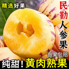 ��������ɳĮ�˲ι�����ˮ��������������˲γ���������������