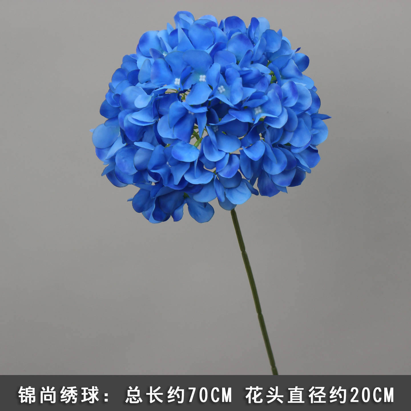 진상수국/1가지