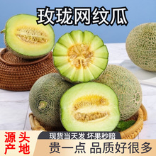 ���̳���ϡ����ھW�y�۹ϱ����������rժ����ˮ������������