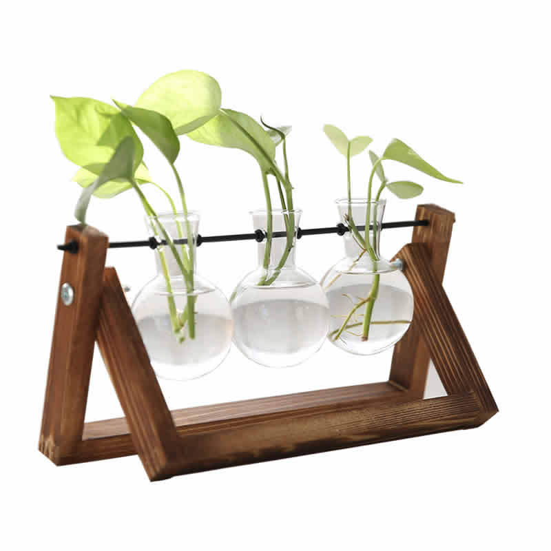 Creativo planta hidropónica soporte de madera transparente florero escritorio contenedor fresco salón moderno decoraciones adornos