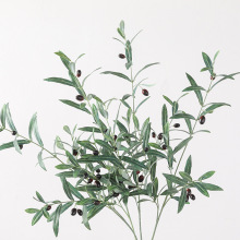 �����ָ��ϙ�֦�~�羳ֱ��4�控���٘�֦�lܛ�b�Gֲ�ٗl���S���l