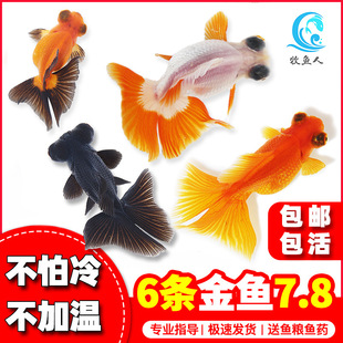 ������~���~�^�p�~С�͵�ˮ���B��ˮ�~�~������С���~�m���\��