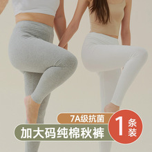 7A类抗菌大码秋裤女纯棉秋冬保暖裤女美肤修身高弹内穿薄款打底裤