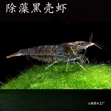 �ښ��r�����坍���幤���^�p���r�����r����ϵ�ˮ���쾰