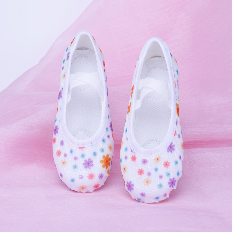 Dance Shoes for Kidsren, Soft-Soled Body Training Dance Shoes, Toddler Cat Claw Shoes, Adult Elegant Chinese Ballet Shoes