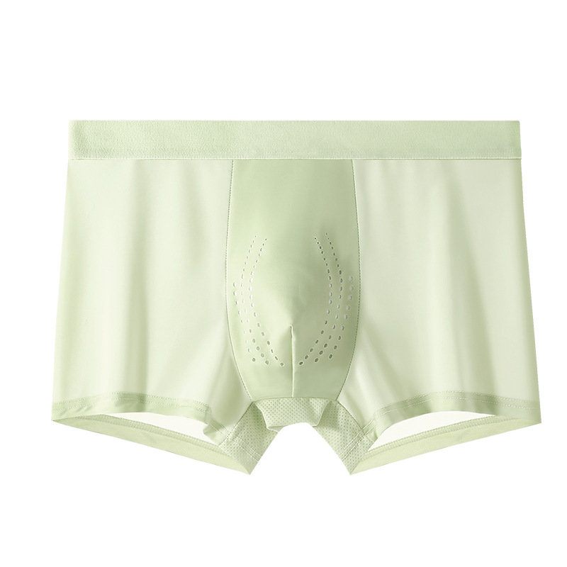 1 울프베리 인삼 [노랑]