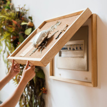 늱����b�ܛľ���԰�ӛ�°��b������ړ�����䱱�W���s