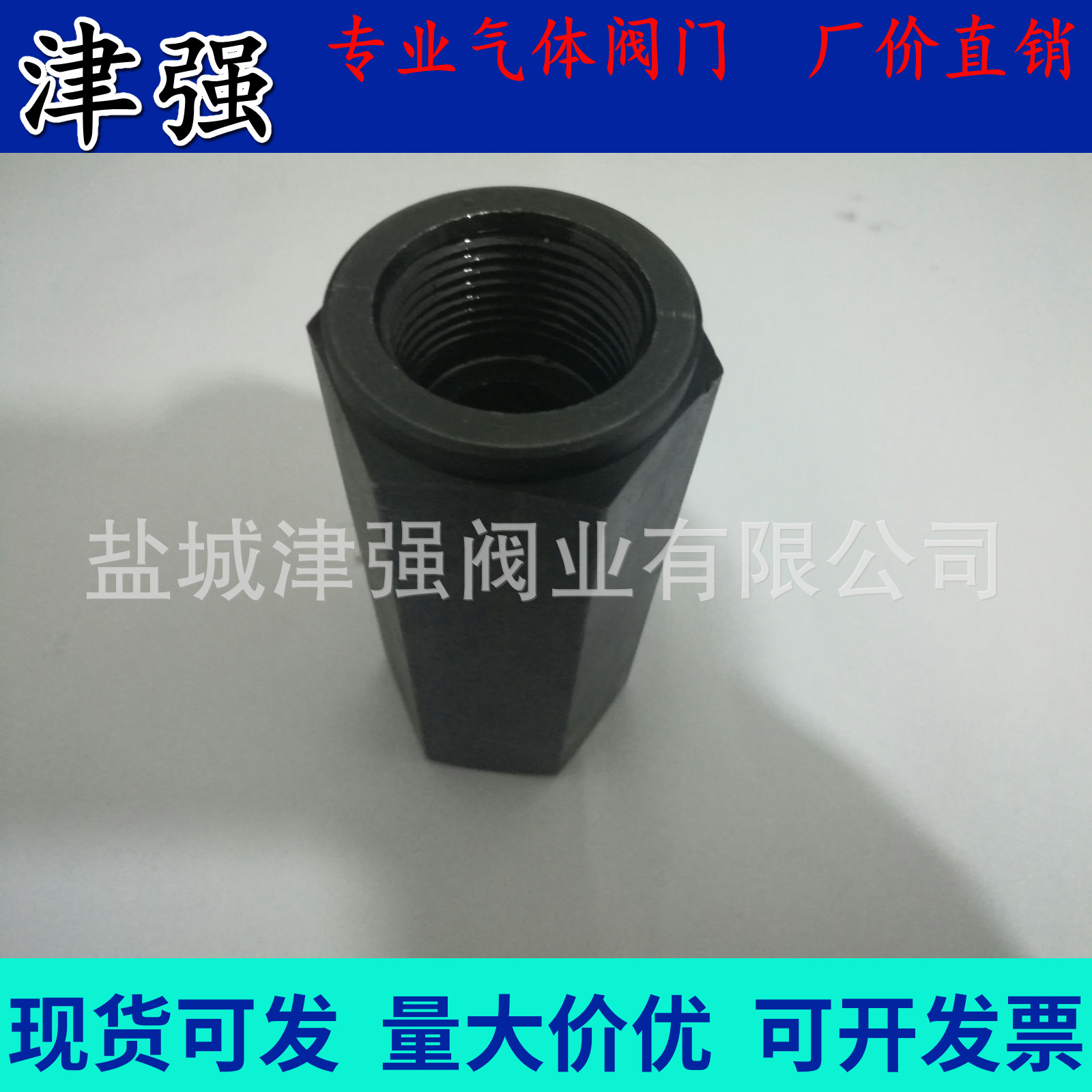 重载单向阀、中载单向阀  硬密封高压单向阀  RV型  RVM型等 DN20