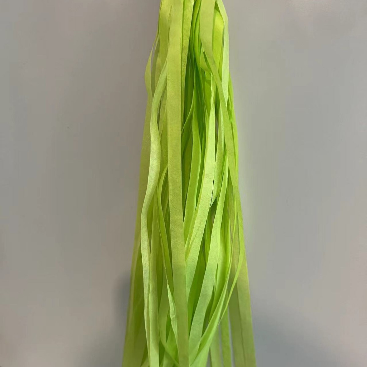 프린지 비 실크 커튼 25*35CM 과일 녹색