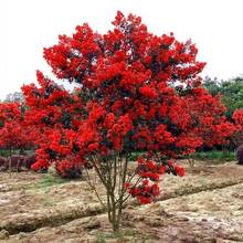 һ�����l������ޱ�������ԅ�����ޱ����ͥԺ�G���Nֲ������ޱ����