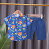 Summer children's flower boy costume for early age, set, shirt, sleeves, 2021 collection, wholesale