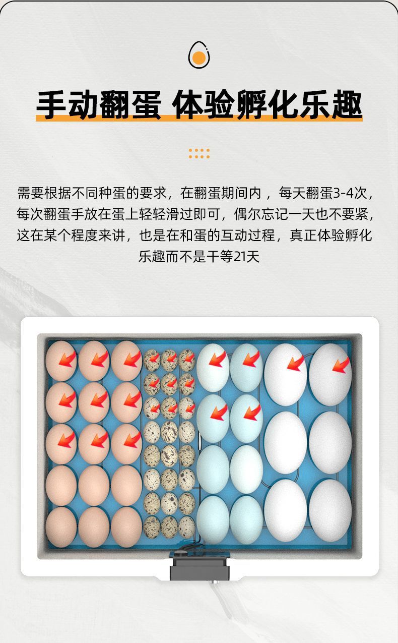 4817ad22-eb71-47a8-ab8f-6b2566478529.jpe