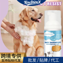 KineShineX������ϴ��ĭ����؈���ϴ����Ľ˹��ϴ��ϴ��־�����