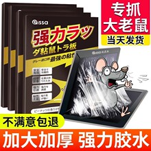 老鼠粘强力粘