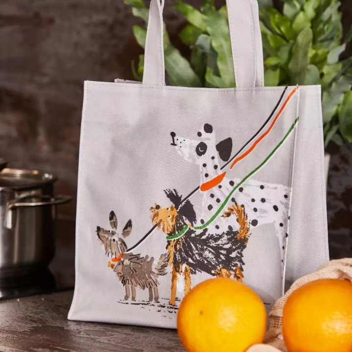 卡通帆布袋制定飘带立体防泼水托特包高端印logo广告宣传帆布包