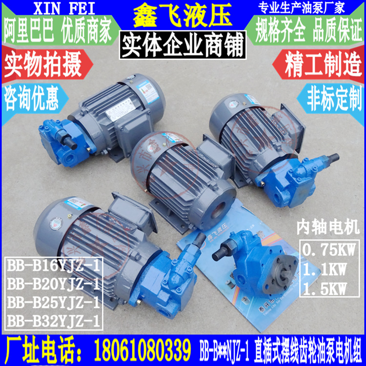 BB-B16YJZ-1 B20YJZ B25YJZ B32YJZ调压摆线油泵电机组直插式