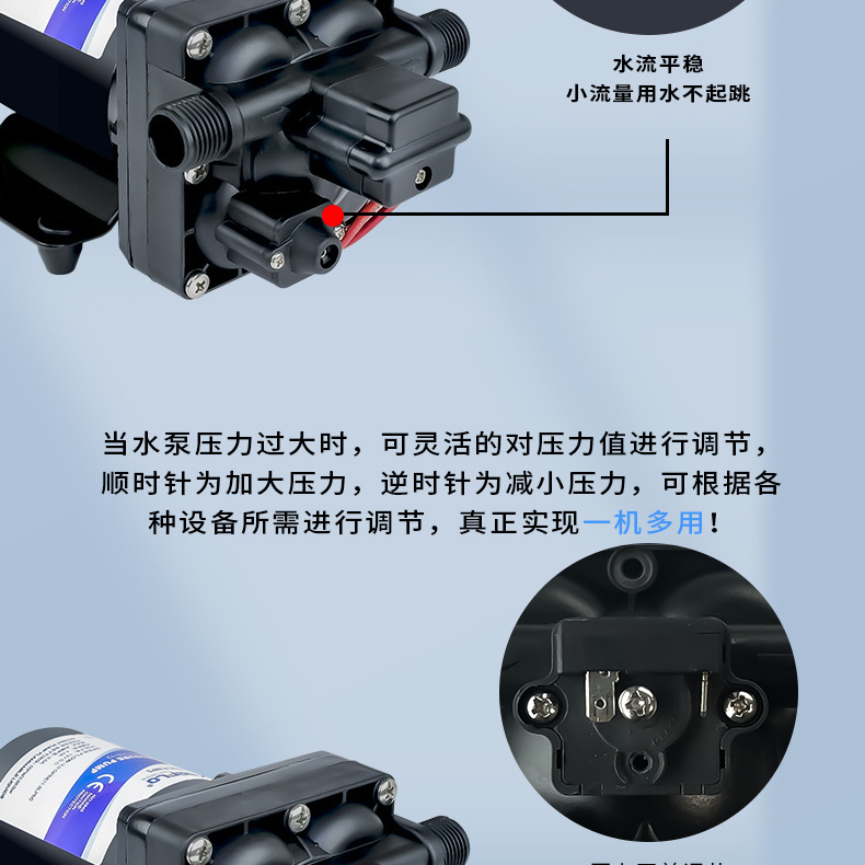 42款12v24v隔膜泵