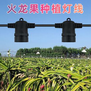 �������Bֳ����һ�wledֲ�����L�a������V�r�ջ�������r�I����