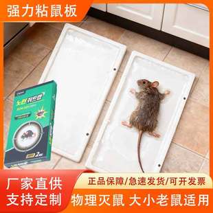 �S��ֱ�������zճ�����������С����ͨ�ÏN������ճ���