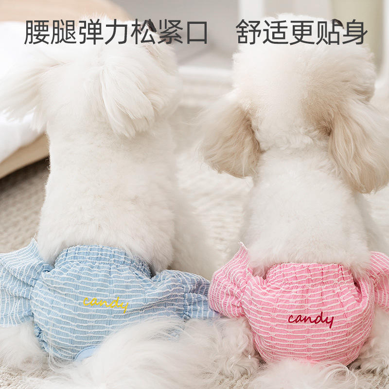 Ventas transfronterizas azules rosadas lindas pantalones fisiológicos dulces perras pantalones menstruales anti-acoso primavera y verano suministros para perros
