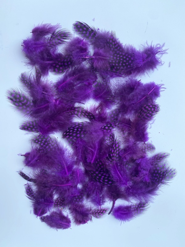 64351ecbf81e8450e79c3ae9ef6502