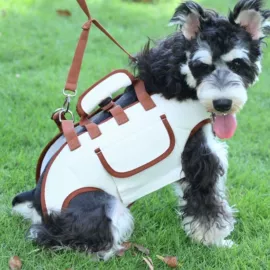 形体矫正器;狗狗清洁;猫猫包、箱