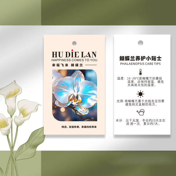 Phalaenopsis plant hanging card