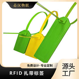 厂家直销高性价比rfid扎带标签hf高频uhf超高频电化物流资产吊牌