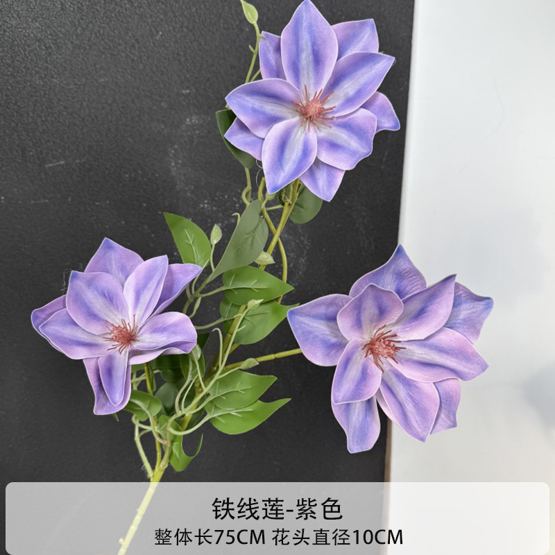 철선화