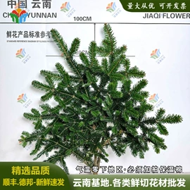 鲜切花;园艺工具;冷链物流包装