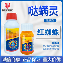 ���_���ڌ�15%�}�\�`���׌��rș���ټt֩�뚢�x���\�����ó��\