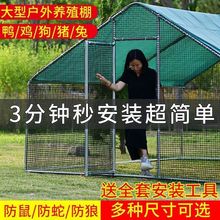 鸡户外鸡棚鸡笼鸡舍养鸡特大号家禽养殖防雨孔雀鸽笼大型搭建家用