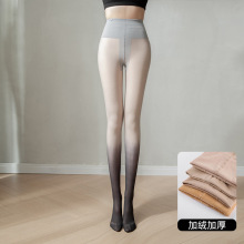 渐变丝袜加绒双层连裤袜光腿神器批发 假透肉裸感拉毛连裤袜丝袜