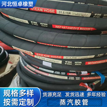 生产耐高压胶管  高压洗车机胶管 双层钢丝蒸汽胶管 化工蒸汽胶管