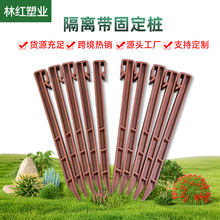 园艺跨境地钉草石隔离带固定桩园艺地钉塑料地桩锚花园草坪压枝钉