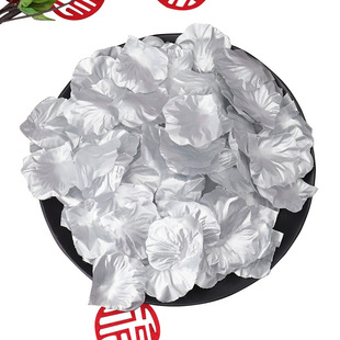 ��c��Ʒ���l ����õ�����~�ٻ��� ��ɫ�yɫ�֒��������F؛����