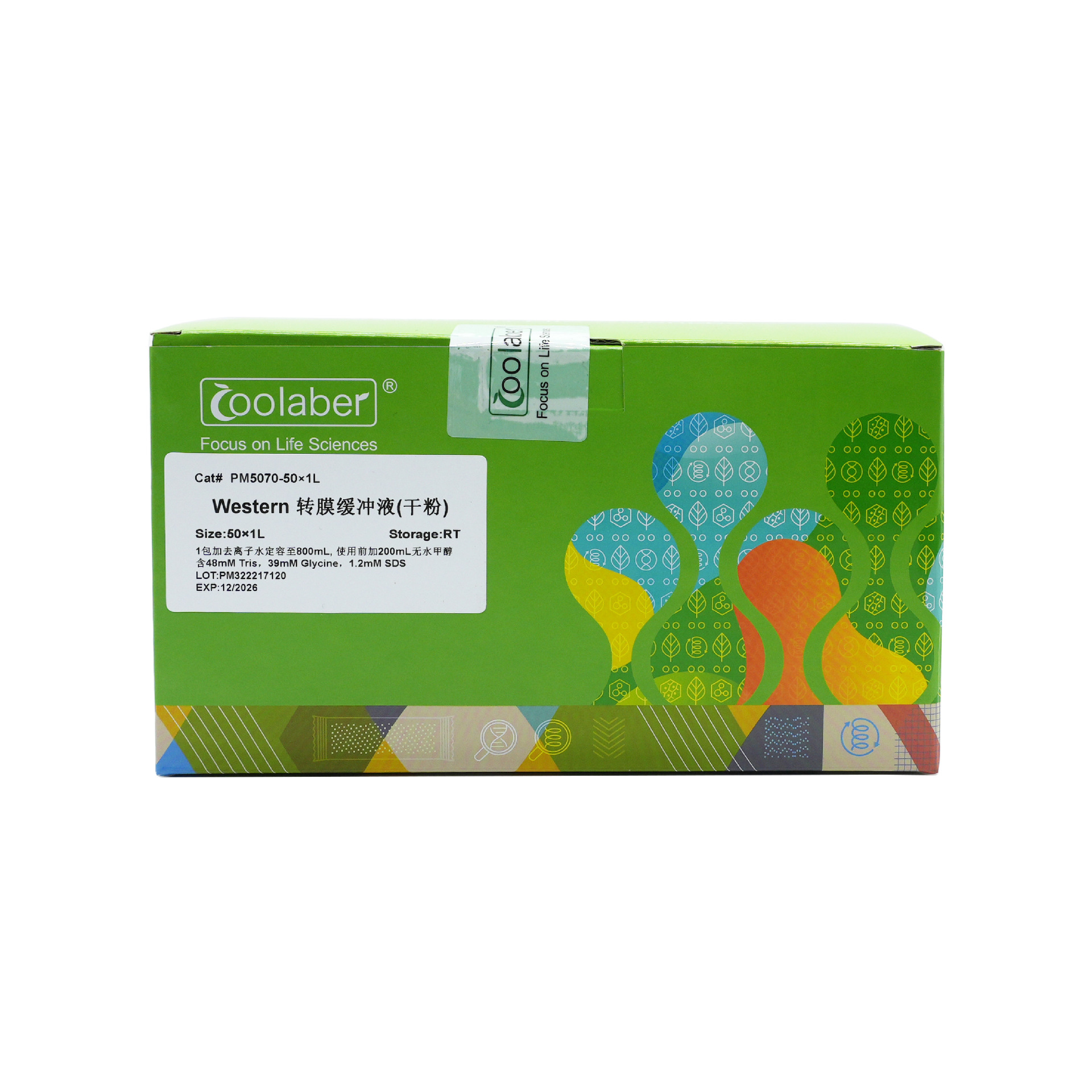 Western转膜缓冲液（半干转，干粉）